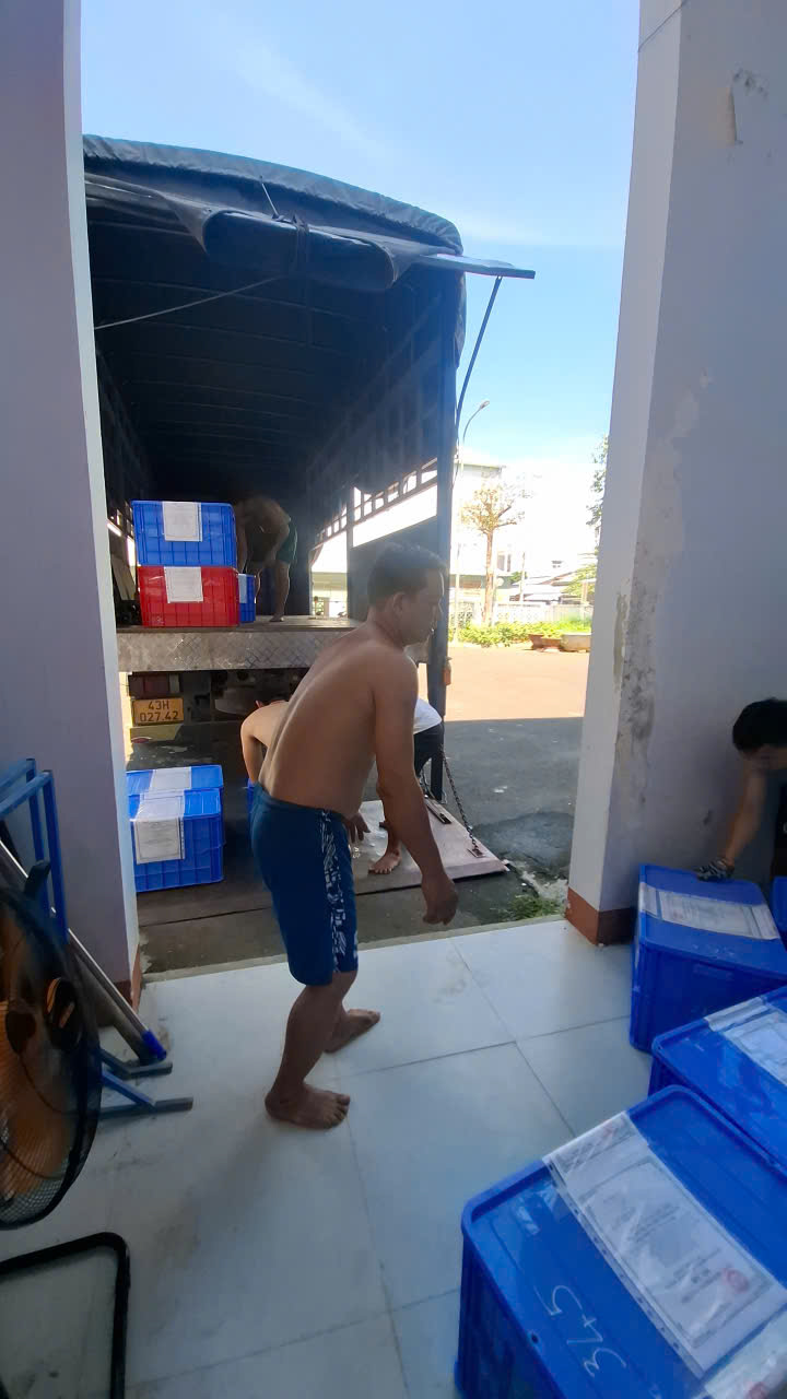 Bốc xếp hàng hóa văn phòng lên xe tải vận chuyển